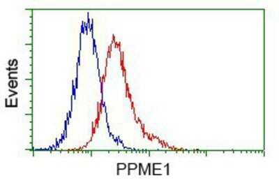 Flow Cytometry: PPME1 Antibody (OTI7F12) - Azide and BSA Free [NBP2-73583]