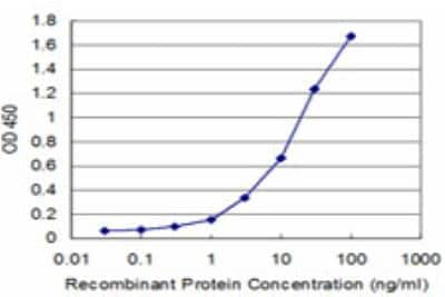 ELISA: PPOX Antibody (2F12) [H00005498-M03]