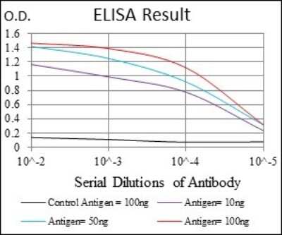 ELISA: PPP2R4 Antibody (4D9) - BSA Free [NBP2-37530]