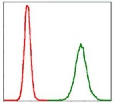 Flow Cytometry: PPP2R4 Antibody (4D9) - BSA Free [NBP2-37530]