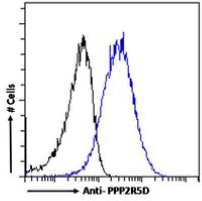 Flow Cytometry: PPP2R5D Antibody [NB100-846]