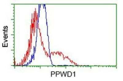 Flow Cytometry: PPWD1 Antibody (OTI1B8) - Azide and BSA Free [NBP2-73590]