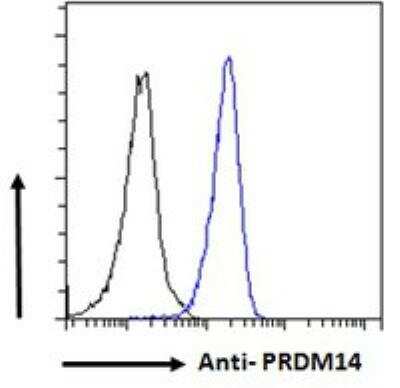 Flow Cytometry: PRDM14 Antibody [NBP1-72055]