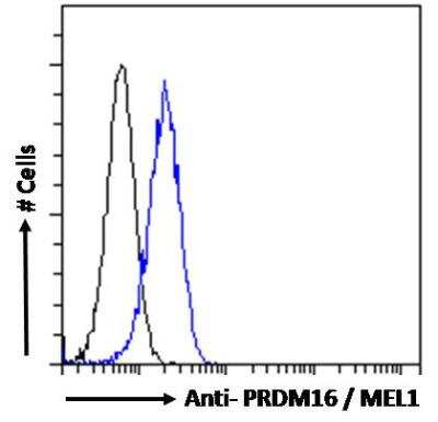 Flow Cytometry: PRDM16/MEL1 Antibody [NB100-1088]