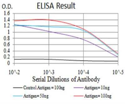 ELISA: PRDM5 Antibody (7D4C12) - BSA Free [NBP2-52540]