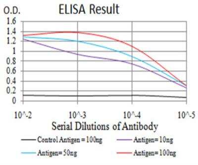 ELISA: PRDM5 Antibody (7D4E11) - BSA Free [NBP2-52541]