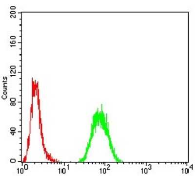 Flow Cytometry: PRDM5 Antibody (7D4E11) - BSA Free [NBP2-52541]