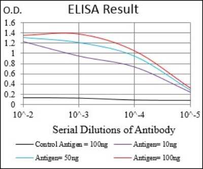 ELISA: PRL-2/PTP4A2 Antibody (5B6F4) - BSA Free [NBP2-37315]