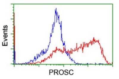 Flow Cytometry: PROSC Antibody (OTI3G7) [NBP2-45396]