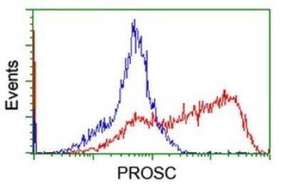 Flow Cytometry: PROSC Antibody (OTI3G7) - Azide and BSA Free [NBP2-73622]