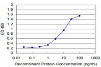 ELISA: PRPK Antibody (2E8) [H00112858-M06]