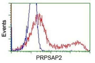 Flow Cytometry: PRPSAP2 Antibody (OTI1E3) [NBP2-02893]