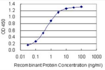 ELISA: PRRX1 Antibody (1E2) [H00005396-M01-100ug]