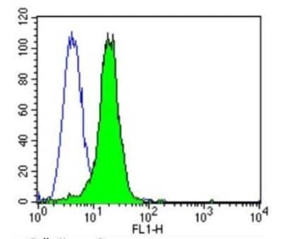 Flow Cytometry: PSD-95 Antibody (6G6-1C9) - BSA Free [NB300-556]