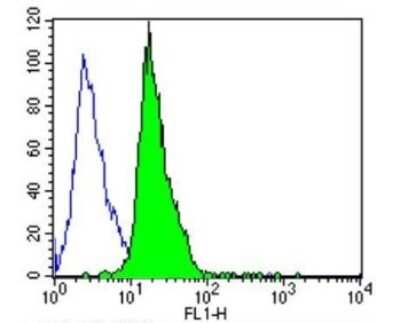 Flow Cytometry: PSD-95 Antibody (6G6-1C9) - BSA Free [NB300-556]