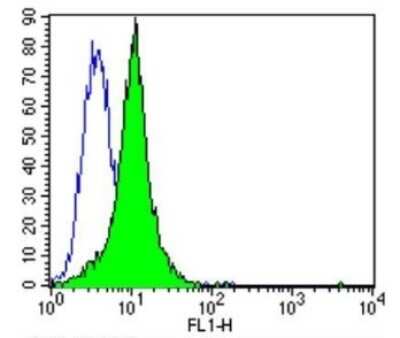 Flow Cytometry: PSD-95 Antibody (6G6-1C9) - BSA Free [NB300-556]