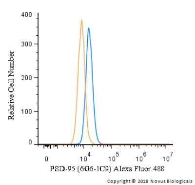 Flow Cytometry: PSD-95 Antibody (6G6-1C9) - BSA Free [NB300-556]