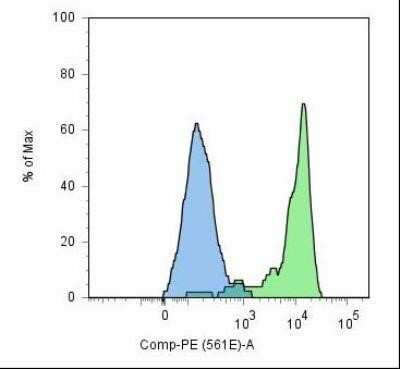 Flow Cytometry: PSMA/FOLH1/NAALADase I Antibody (GCP-05) - BSA Free [NBP1-45058]