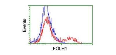 Flow Cytometry: PSMA/FOLH1/NAALADase I Antibody (OTI3H5) - Azide and BSA Free [NBP2-73686]