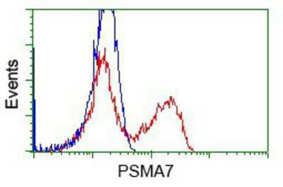 Flow Cytometry: PSMA7 Antibody (OTI3F11) [NBP2-02120]