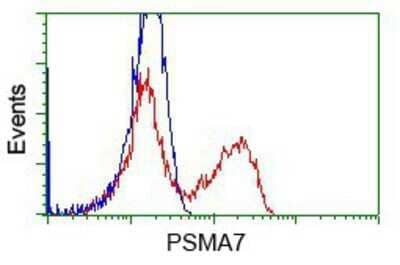 Flow Cytometry: PSMA7 Antibody (OTI3F11) - Azide and BSA Free [NBP2-73693]