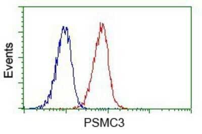 Flow Cytometry: PSMC3 Antibody (OTI9F3) - Azide and BSA Free [NBP2-73696]