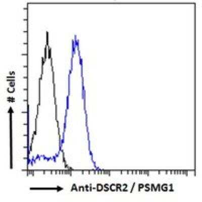Flow Cytometry: PSMG1 Antibody [NBP1-36951]