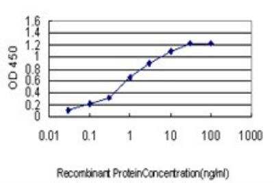 ELISA: PTBP1 Antibody (3H8) [H00005725-M01]