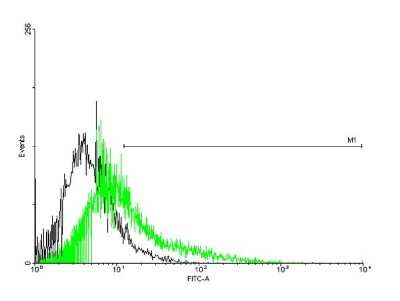 Flow Cytometry: PTEN2/TPTE Antibody [H00007179-B01P]