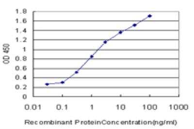 ELISA: PTF1A Antibody (1A2) [H00256297-M05]