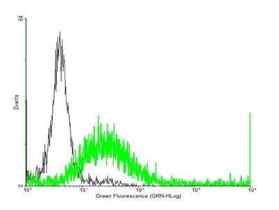 Flow Cytometry: PTGDR Antibody [H00005729-B01P]