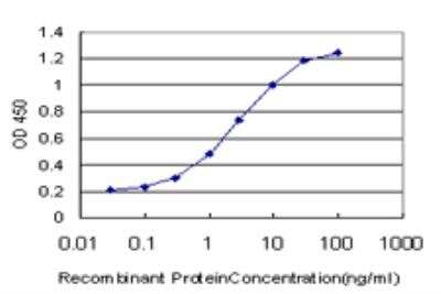 ELISA: PTK9 Antibody (5C4) [H00005756-M06]