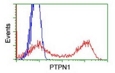 Flow Cytometry: PTP1B/PTPN1 Antibody (OTI1D10) - Azide and BSA Free [NBP2-73729]