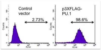 Flow Cytometry: PU.1/Spi-1 Antibody [NBP1-00135]