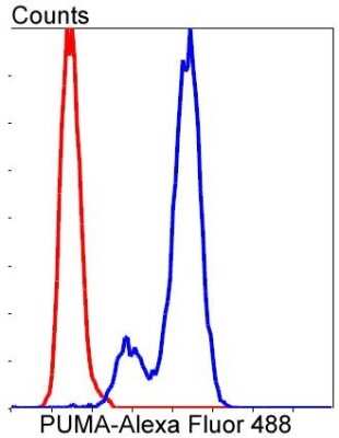 Flow Cytometry: PUMA Antibody (SR42-09) [NBP2-67326]
