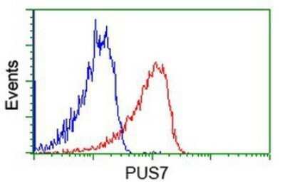 Flow Cytometry: PUS7 Antibody (OTI5F12) - Azide and BSA Free [NBP2-73733]