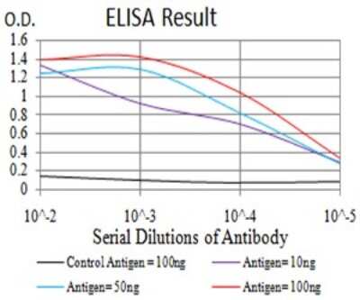 ELISA: PXR/NR1I2 Antibody (1D12G1) - BSA Free [NBP2-61816]