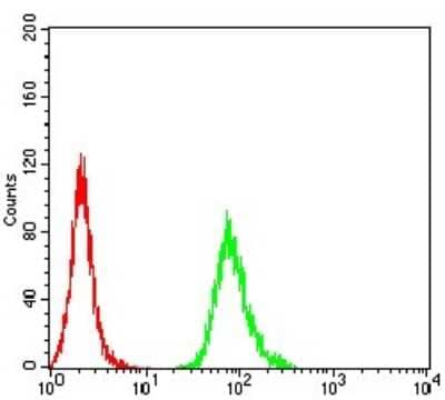 ELISA: PXR/NR1I2 Antibody (1D12G1) - BSA Free [NBP2-61816]