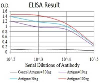 ELISA: PXR/NR1I2 Antibody (6H11D8) - BSA Free [NBP2-61817]