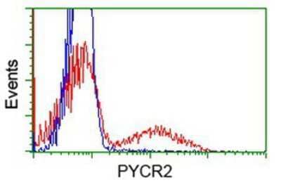Flow Cytometry: PYCR2 Antibody (OTI3D1) [NBP2-03187]