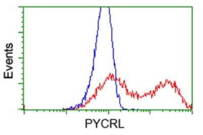 Flow Cytometry: PYCRL Antibody (OTI1B12) [NBP2-03337]