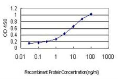 ELISA: PYK2/FAK2 Antibody (1F9) [H00002185-M01]