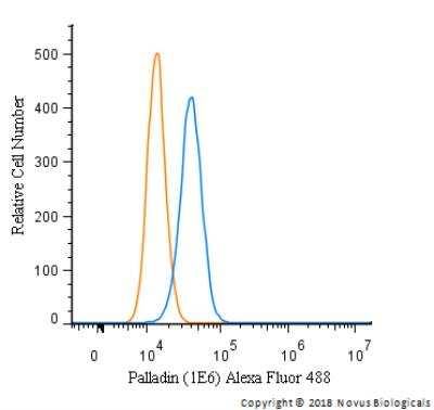Flow Cytometry: Palladin Antibody (1E6) [NBP1-25959]
