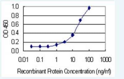 ELISA: Pannexin-2 Antibody (2B11) [H00056666-M02-100ug]