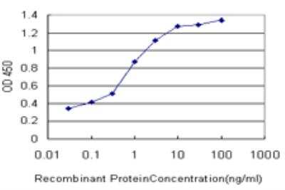 ELISA: Paralemmin Antibody (7C5) [H00005064-M09]