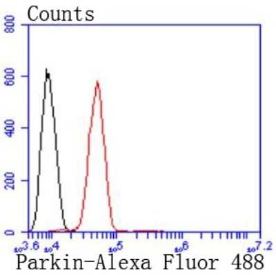 Flow Cytometry: Parkin Antibody (JF82-09) [NBP2-67017]