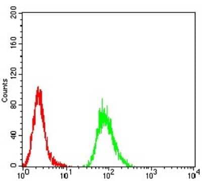 Flow Cytometry: Parvovirus VP2 Antibody (4E5A4) - BSA Free [NBP2-61902]