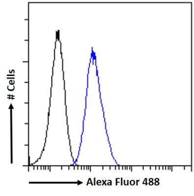 Flow Cytometry: Pax6 Antibody [NB100-61654]