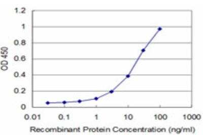 ELISA: Pbx3 Antibody (2E12) [H00005090-M03]