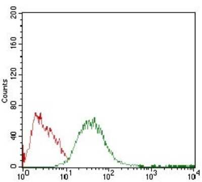 Flow Cytometry: Perilipin-2/ADFP Antibody (2C5H8) - BSA Free [NBP2-37300]